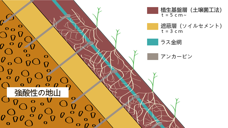 土壌菌強酸性対策工法概念図